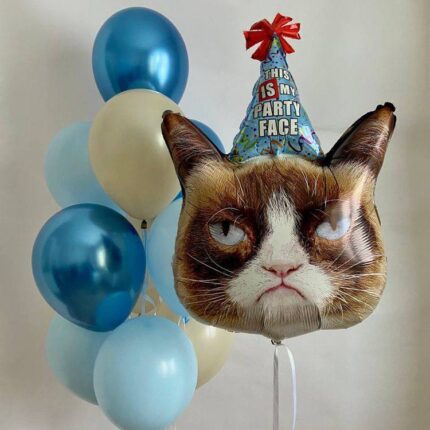 Недовольный кот